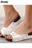 Heel Sandals Women's 2023 Summer New Metal Buckle Willow Nails Fish Mouth Roman Outdoor Beach Comfortable