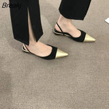 Women's Sandals for Summer 2023 Fashion Sexy Metal Color Pointed Low-heeled Slip-on Shoes Women Mules Casual Flat