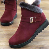 Boots Women Warm Plush Snow Boots for Women Ankle Botas Mujer Zipper No-slip Loafers Ladies Casual Comfort botas