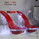 Color Square Heel Women Sandals Light Up Glowing Shoes Luminous Clear Sandals Platform Shoes High Heel 15cm Transparent