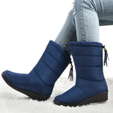 Fashion Tassel Waterproof Winter Boots for Women Non Slip Plush Woman Snow Boots Leisure Warm Cotton Padded Shoes Plus