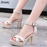 Summer Sandal Shoes for Women 2022 New Arrival Sexy Peep Toe Thick Heels Sandals Platform Casual Russian Shoes