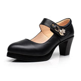 Women High Heels Block Heels Gold Silver Wedding Shoes Women Pumps 2023 Rhinestone 10cm Party Dress Shoe Plus Size