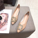 Flats for Women Boat Shoes Pointed toe Brand Ladies Flats High Quality Women Single Shoes Soft Comfortable