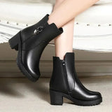 Boots Women 2024 New Thick Plush Ankle Snow Boots Women High Heels Botas Mujer Invierno Outdoor Women Casual Warm