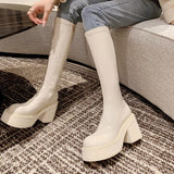 Thick-Soled, Knee-Length Boots, Women's Muffins, Elastic Thin Boots, 2024 New Autumn And Winter High-Heeled Knight