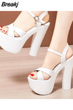 Heel Womens Sandals Platform Women's Shoes 15 Cm Sexy Ultra-High Heels Banquet Female Sandals Plus Size Pumps