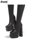 Women's High Boots Autumn Winter Platform Shoes Thick Bottom High Heels Elastic Leather Long Boots Women Demonia Boots