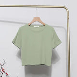 Real-Apamine Solid Short-Sleeved T-Shirt Burst Small Short Sweet Spicy Slim Slim Thin Collar Top