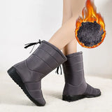 Fashion Tassel Waterproof Winter Boots for Women Non Slip Plush Woman Snow Boots Leisure Warm Cotton Padded Shoes Plus