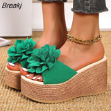 Heels Slides Women's Shoes Woman Slippers Flip Flops Wedge Platform Shoes Woman Beach Slippers Zapatos Mujer sandale