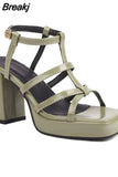 New Fashion Women's Sandals Summer 2023 Simply Casual Office Lady Shoes European Style Thick High Heels Sandals