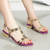 Flat-Bottomed Water Drill Sandals Women's Bohemian Sandals Foreign Style Fashion Women's Sandals Anti-Skid In The Summer Of