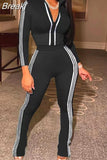 Fall Winter Casual Sport Two Piece Sets Women Zip Long Sleeve Coat + Pants Tracksuits Fashion Stripe Print 2pcs