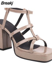 New Fashion Women's Sandals Summer 2023 Simply Casual Office Lady Shoes European Style Thick High Heels Sandals