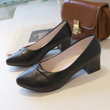 Breakj Heel Single Shoes Women 2025 New Spring And Summer Small Fragrant Wind Soft Leather Soft Sole Commuting Women's Shoes Square Head Gentle Mary Jane