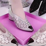 Women's Shoes 2023 New Spring/Autumn Designer Lace Sexy Pointed Toe Thick Heel Low-top Shoes Fashion Slip-On Female High