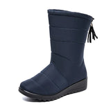 Fashion Tassel Waterproof Winter Boots for Women Non Slip Plush Woman Snow Boots Leisure Warm Cotton Padded Shoes Plus