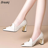 shoes spring and autumn new Korean fashion high heels pointed thick heels fashion work shoes women's