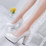 New Women Pumps Shoes Pointed Toe High Heels Fine Pointed Toe Slip-On Designer Shoes Women Wedding Luxury Zapatilla