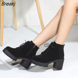 boots Suede Ankle Boots Square Heels Ladies Lace Up Plush Zipper Shoes Woman Fashion Casual Boots Female Winter