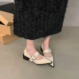 Pointed Mary Jane Small Leather Shoes British Spring 2024 New Korean Version Of French Rough Heels Love Single