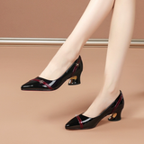 Heel Thick Heel Versatile New Soft Sole Professional Shallow Mouth Comfortable Pointed Women'S
