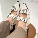 Autumn Women's Pumps Casual Shoes Crude Heel Pointed Toe Belt Buckle Female Shoes High Quality Luxury Sandals New