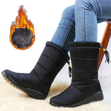 Fashion Tassel Waterproof Winter Boots for Women Non Slip Plush Woman Snow Boots Leisure Warm Cotton Padded Shoes Plus