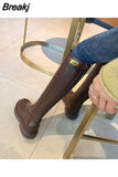 Long Women's Boots Brown Winter Knee High Shaft Shoes for Woman Platform Elegant with Low Heels 2023 New in