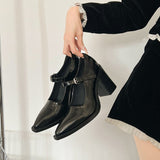Women's Thick Heels Mary Jane Shoes 2024 New Spring Black Leather Shoes French Retro Pointed Single