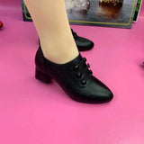 Women's Shoes Spring/autumn All-match High-heeled Shoes Women Pointed Thick-heeled Side Zipper Leather Shoes Fashion Women