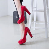 New Women Pumps Shoes Pointed Toe High Heels Fine Pointed Toe Slip-On Designer Shoes Women Wedding Luxury Zapatilla