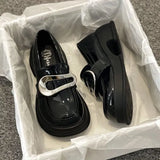 Shoes Women's Shoes 2024 Spring New Style Thick Soles, Thick Heels, Black Shoes, Jk Mary Jane Shoes, Single Shoes, Small Leather