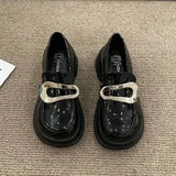 Shoes Women's Shoes 2024 Spring New Style Thick Soles, Thick Heels, Black Shoes, Jk Mary Jane Shoes, Single Shoes, Small Leather
