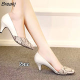 Small Fresh Two Wear Single Shoes 2023 Fall New Thick with Shallow Mouth Womens Shoes Elegant Square Head High
