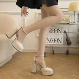 Jane Shoes Women 2023 New Spring Autumn Thick Heels High Heels Waterproof Platform Hollow Black Beige Women's Shoes