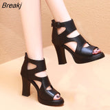 Soft Leather Peep Toe Roman Shoes 2023 New Hollow Women's Sandals Chunky Heel Platform All-Match High Heels Sandals