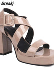 New Fashion 2023 Chunky High Heels Sandals Summer Ankle Buckle Riveted Design Ladies Sandals Comfy Walking Simply