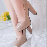 New Women Pumps Shoes Pointed Toe High Heels Fine Pointed Toe Slip-On Designer Shoes Women Wedding Luxury Zapatilla