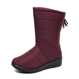 Fashion Tassel Waterproof Winter Boots for Women Non Slip Plush Woman Snow Boots Leisure Warm Cotton Padded Shoes Plus