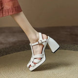 Women Sandals Sexy High Heels Buckle Ankle Strap Women Shoes Thick Heels Platform Fashion Summer Female Pumps New
