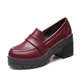 Mary Jane Small Leather Shoes Jk Shoes, A New Style College Style Thick-Heeled Retro Uniform In Spring
