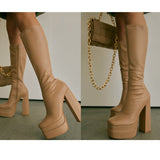 Women's High Boots Autumn Winter Platform Shoes Thick Bottom High Heels Elastic Leather Long Boots Women Demonia Boots