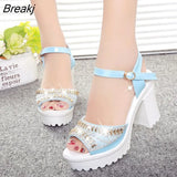 Woman New High-heeled Designer Shoes Luxury Women's Sandals Novelties 2023 Buckle Rhinestone Thick with Fish Mouth