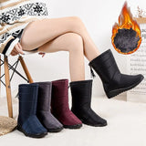 Fashion Tassel Waterproof Winter Boots for Women Non Slip Plush Woman Snow Boots Leisure Warm Cotton Padded Shoes Plus