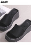 Sole Wedges Flip Flops for Women 2023 Summer Clip Toe Platform Sandals Woman Non Slip Beach Slippers High Heel