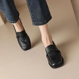 Breakj Light ~ Fang Head Lefu Shoes Women Retro English Small Leather Shoes New Heel Single