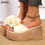 Heels Slides Women's Shoes Woman Slippers Flip Flops Wedge Platform Shoes Woman Beach Slippers Zapatos Mujer sandale