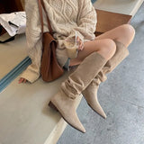 Winter New Women's Boots Fashionable Sexy Pointed Toe Folds Catwalk Long Tube Thick Heel High-heeled
